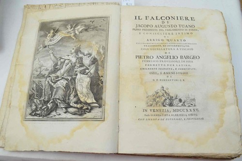 Falconiere - il, …