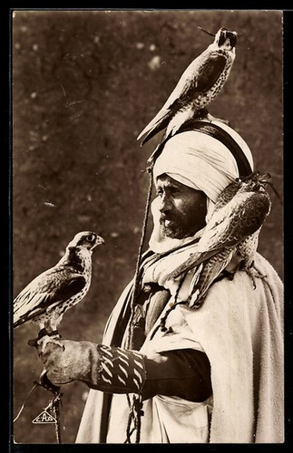 Falconiere con suoi animali - falconiere,