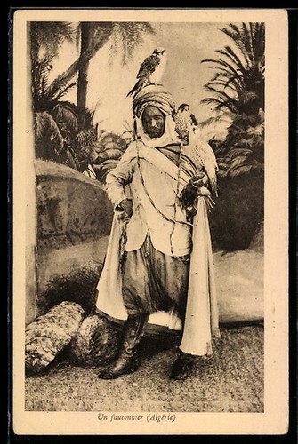 Fauconnier algérie - un, fauconnier,