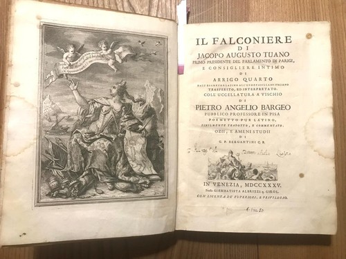 Falconiere jacopo tuano - il,