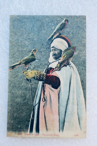 Falconiere arabo - falconiere,