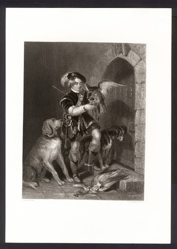 Giovane falconiere di - falconiere,,